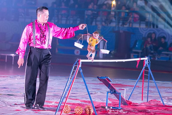 dịch vụ biểu diễn xiếc tại tây ninh-2 dịch vụ biểu diễn xiếc tại tây ninh-2