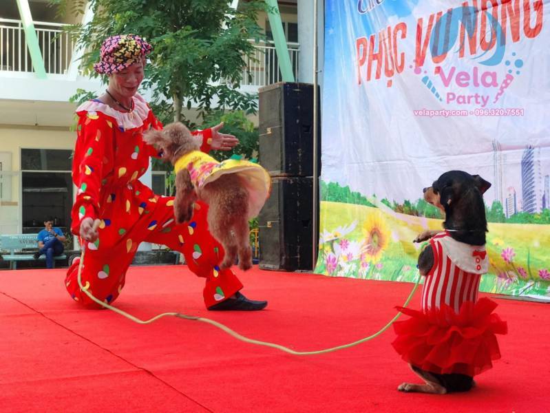 DỊCH VỤ BIỂU DIỄN XIẾC TẠI BÌNH CHÁNH