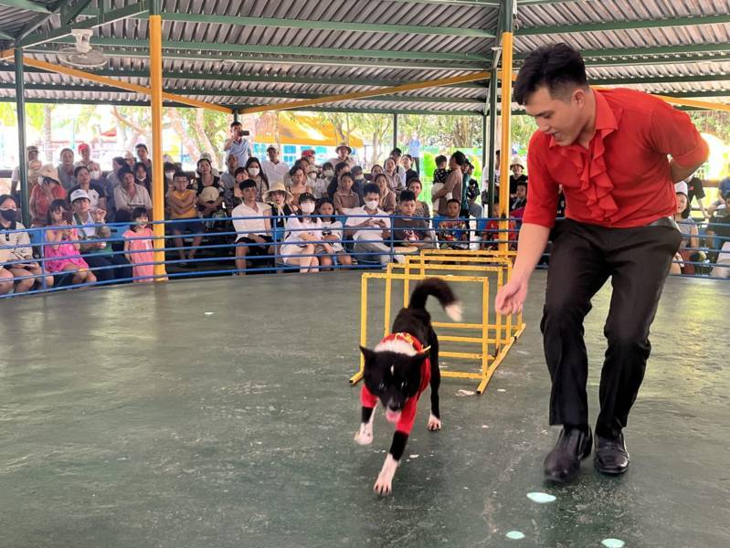 DỊCH VỤ BIỂU DIỄN XIẾC TẠI TDM BÌNH DƯƠNG