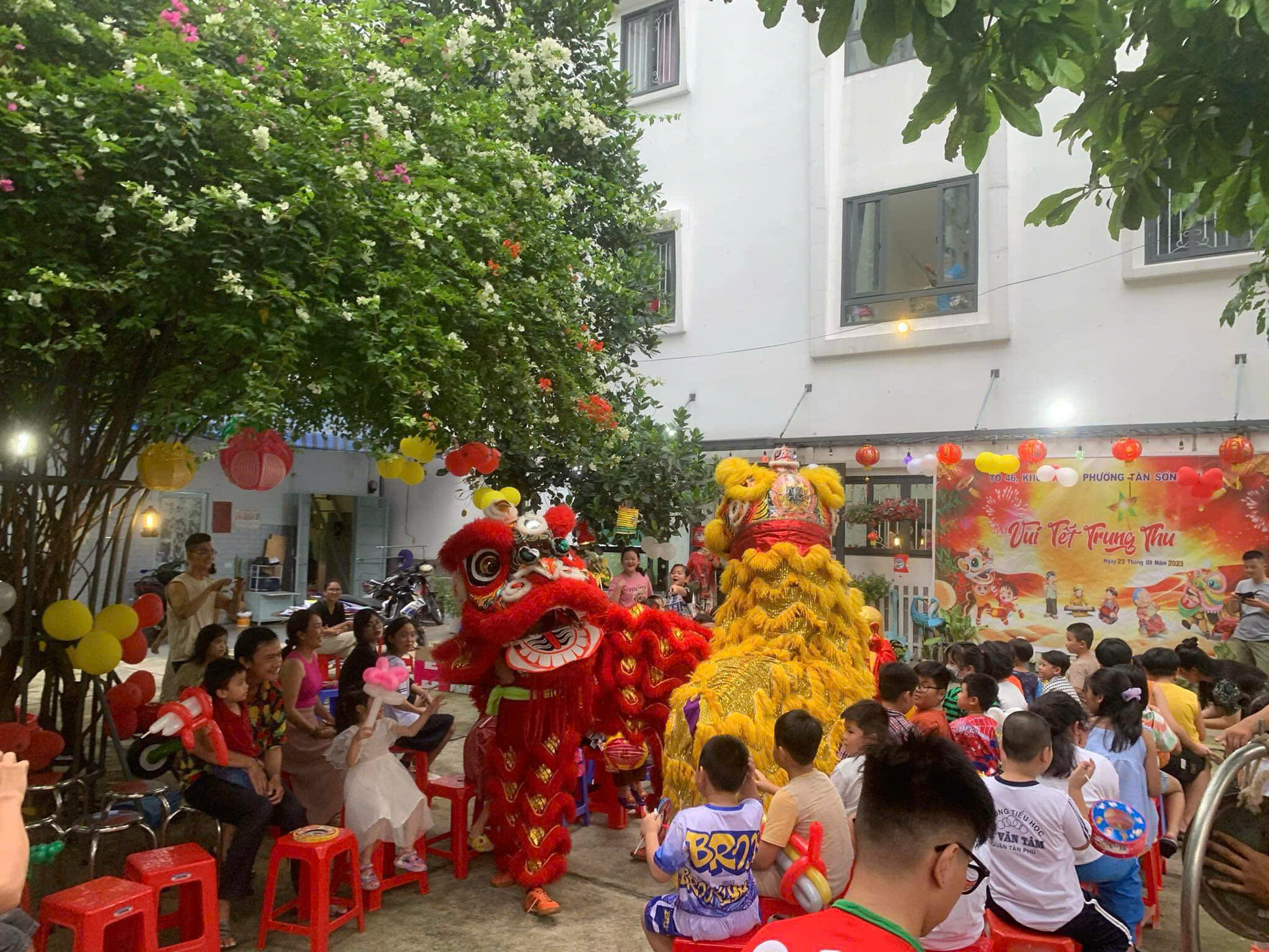 Dịch Vụ Cho Thuê Đội Múa Lân Khai Trương Tại Thủ Đức